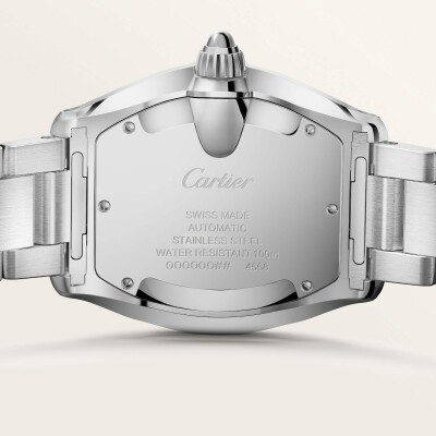Montre Roadster Grand modèle, mouvement automatique, acier, bracelets métal et cuir interchangeables
