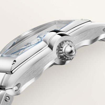 Montre Roadster Grand modèle, mouvement automatique, acier, bracelets métal et cuir interchangeables