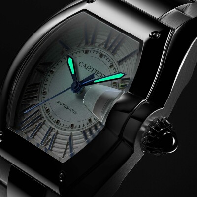 Montre Roadster Grand modèle, mouvement automatique, acier, bracelets métal et cuir interchangeables