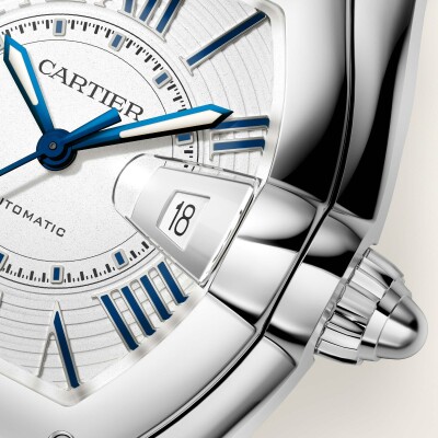 Montre Roadster Grand modèle, mouvement automatique, acier, bracelets métal et cuir interchangeables