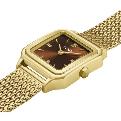 Montre Cluse Gracieuse Petite CW11830