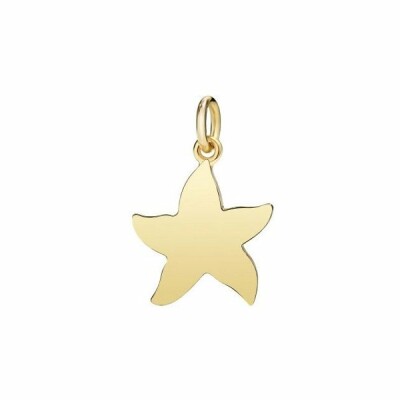 Pendentif DoDo Etoile de mer maxi en Or jaune