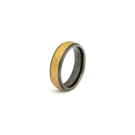 Bague Gemini Classics en titane