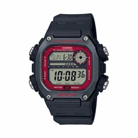 Montre Casio Collection Basic DW-291H-1BVEF