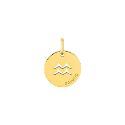 Pendentif zodiaque Verseau en or jaune