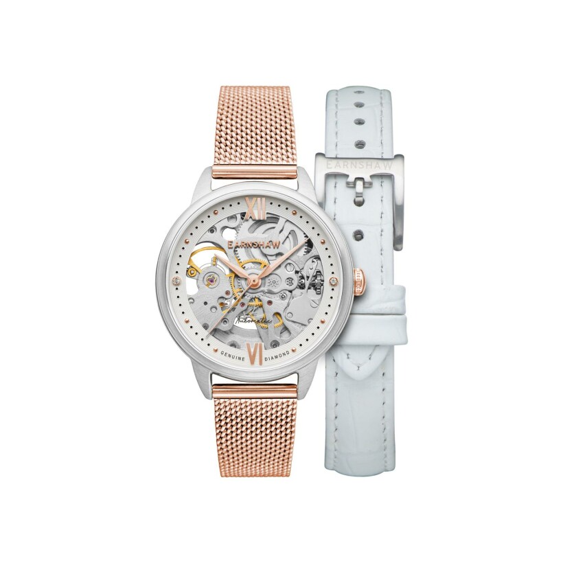 Montre Earnshaw Anning Diamond ES-8154-06