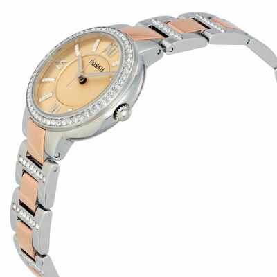 Montre FOSSIL Virginia ES3405