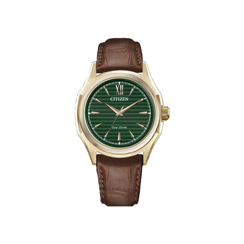 Citizen Platform Classic Elegant FE2113-16X watch