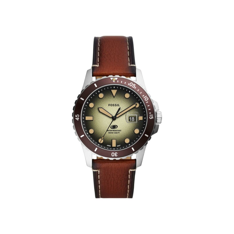 Montre Fossil Fossil Blue FS5961