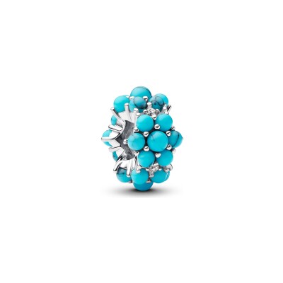 Charm Pandora Océan en argent