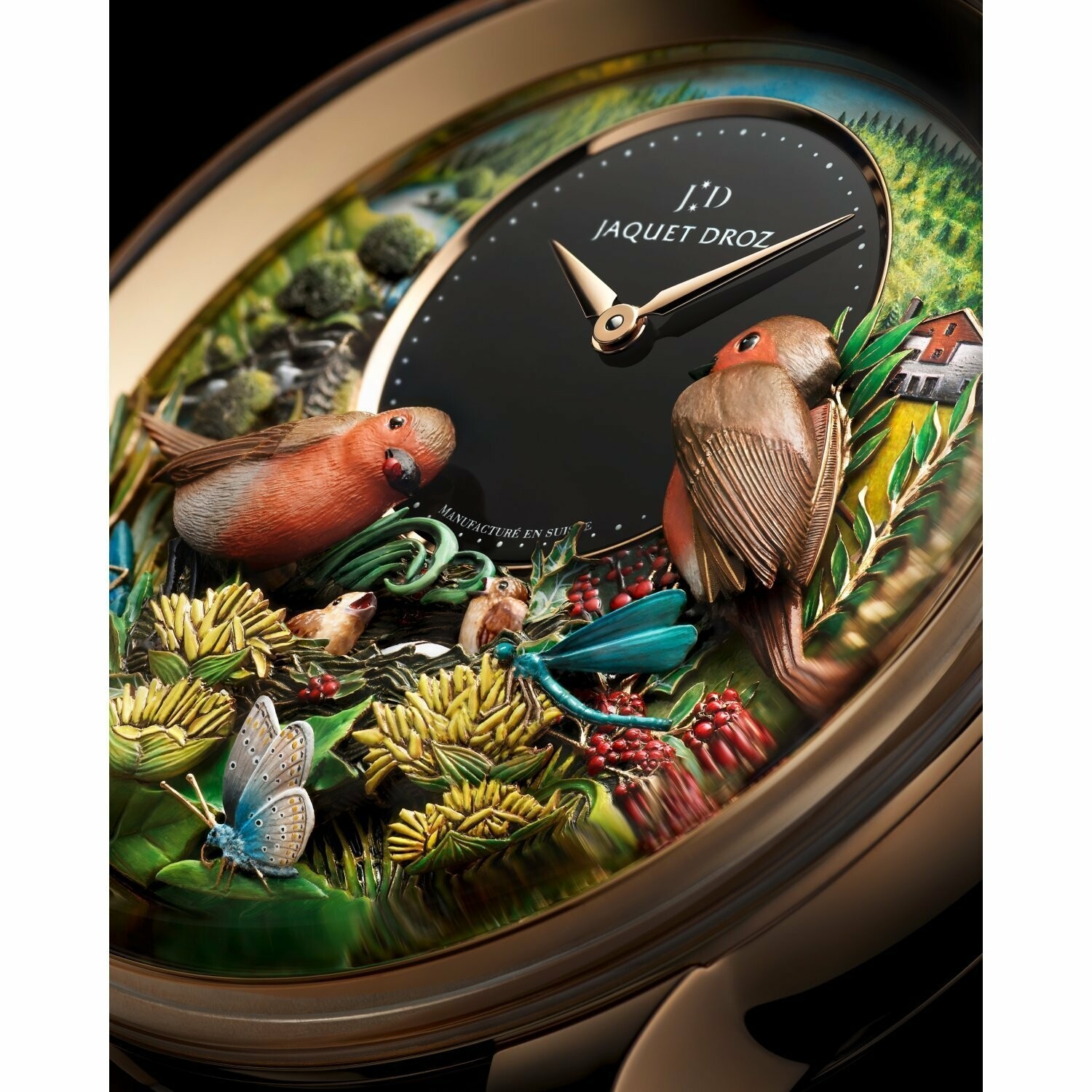 Montres Jaquet Droz HU HORLOGERIE Paris