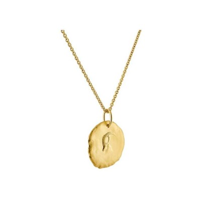 Médaille Arthus Bertrand Astro Capricorne en or jaune sablé, 23 mm