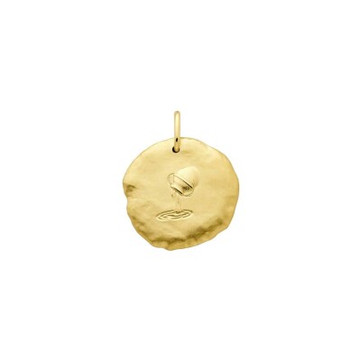 Médaille Arthus Bertrand Astro Verseau en or jaune sablé, 23 mm