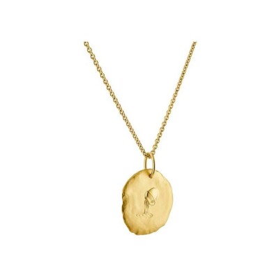 Médaille Arthus Bertrand Astro Verseau en or jaune sablé, 23 mm