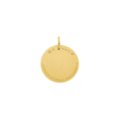 Médaille Arthus Bertrand Versailles Roi Soleil en or jaune satiné, 18 mm