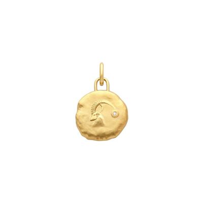 Médaille Arthus Bertrand Astro Capricorne en or jaune et diamant, 15 mm