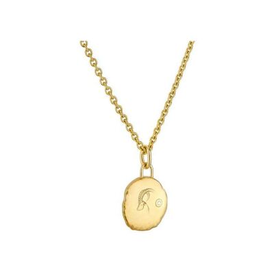 Médaille Arthus Bertrand Astro Capricorne en or jaune et diamant, 15 mm