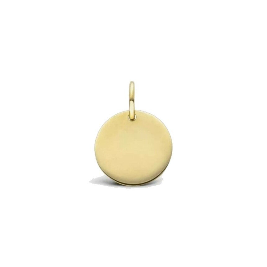 Arthus Bertrand smooth token pendant, 10mm, yellow gold