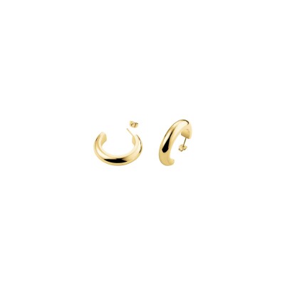 Boucles d'oreilles Rosefield en acier doré