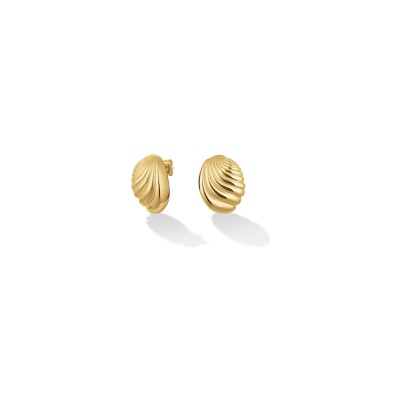Boucles d'oreilles Rosefield en acier plaqué or jaune