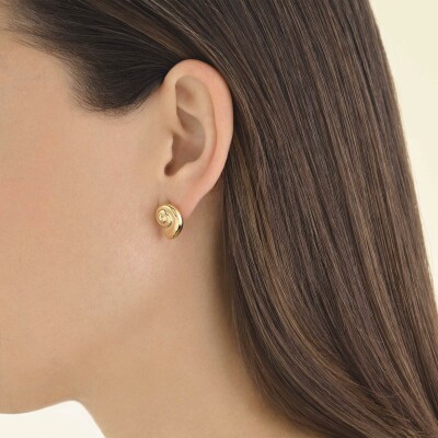 Boucles d'oreilles Rosefield en acier doré