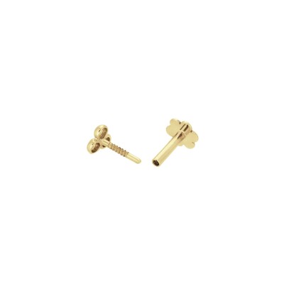 Piercing Jackie Gold Serpent en or jaune