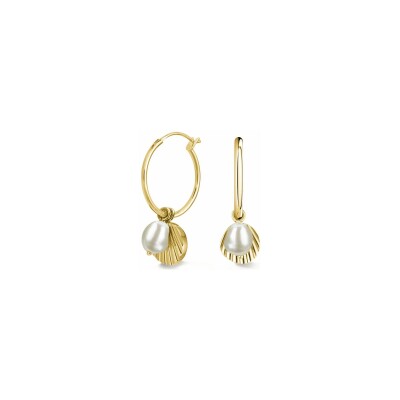 Boucles coquillage et perle en acier doré 