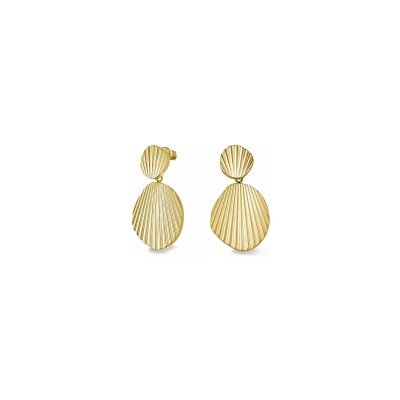 Boucles d’oreilles coquillage en acier doré 
