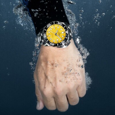 Montre Festina Swiss Made Cosc F20043/1