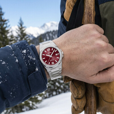 Montre Festina Swiss Made Vallee F22000/5