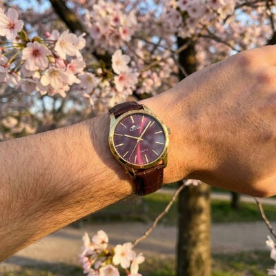 Montre Lotus Minimalist For Him 19067/3