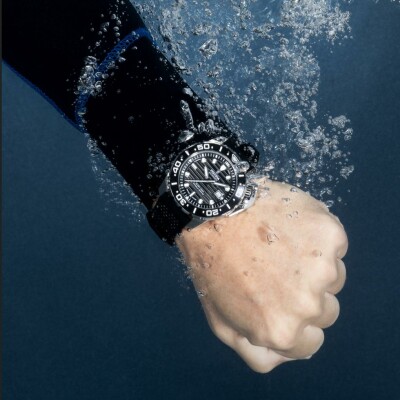 Montre Festina Swiss Made Cosc F20043/6