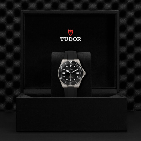 TUDOR Pelagos 39 watch, Unidirectional rotating bezel, Titanium bracelet