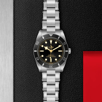 Montre TUDOR Black Bay 54 boîtier en acier, 37 mm, bracelet en acier