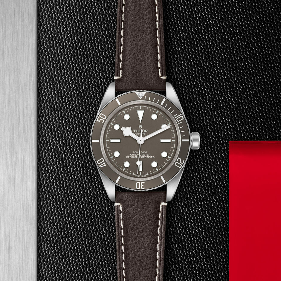 TUDOR Black Bay 58 925 watch, 39 mm silver case, brown leather bracelet