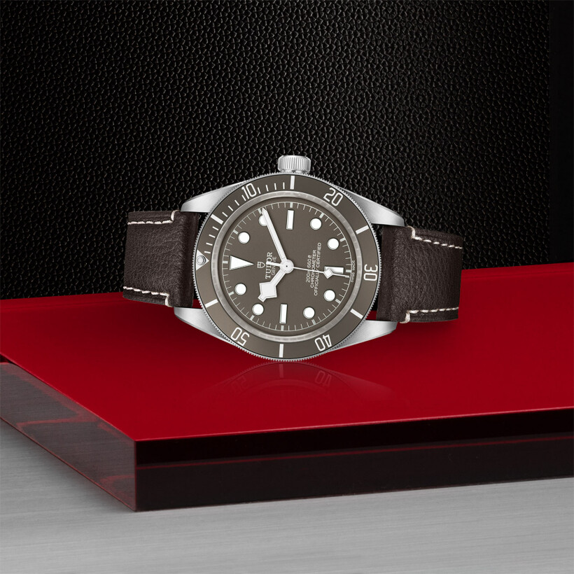 TUDOR Black Bay Fifty-Eight 925 watch, 39 mm silver case, brown leather bracelet