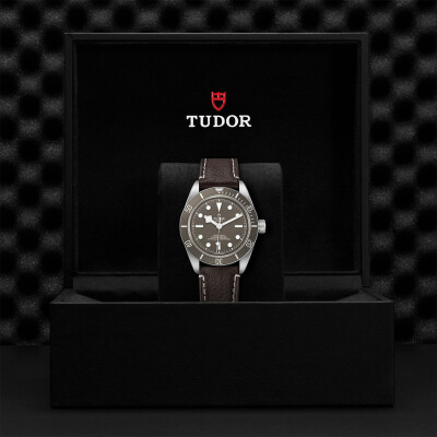 TUDOR Black Bay 58 925 watch, 39 mm silver case, brown leather bracelet