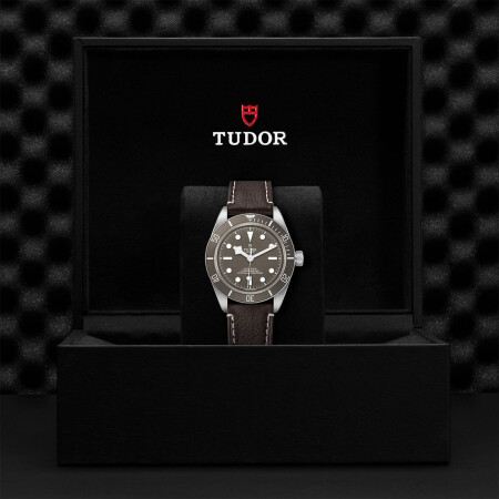 Montre TUDOR Black Bay 58 boîtier en argent 39 mm, bracelet en cuir brun