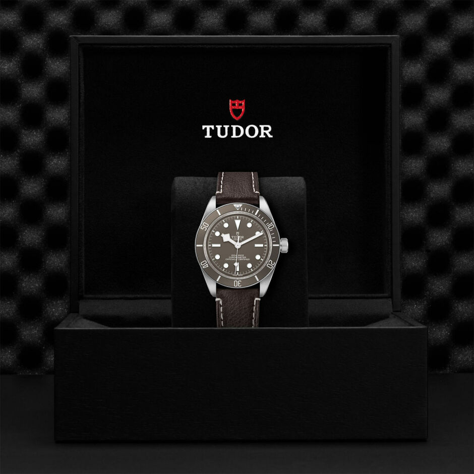TUDOR Black Bay 58 925 watch, 39 mm silver case, brown leather bracelet