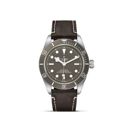 Montre TUDOR Black Bay 58 boîtier en argent 39 mm, bracelet en cuir brun