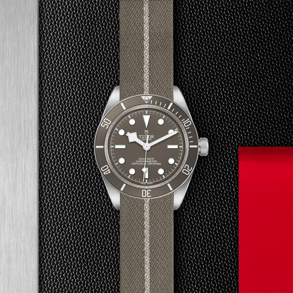 TUDOR Black Bay 58 925 watch, 39 mm silver case, taupe fabric strap