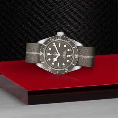 TUDOR Black Bay Fifty-Eight 925 watch, 39 mm silver case, taupe fabric strap