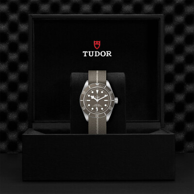 TUDOR Black Bay 58 925 watch, 39 mm silver case, taupe fabric strap