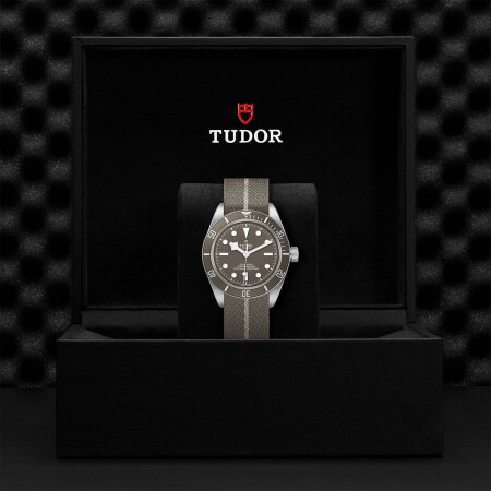 Montre TUDOR Black Bay 58 boîtier en argent 39 mm, bracelet en tissu brun et gris