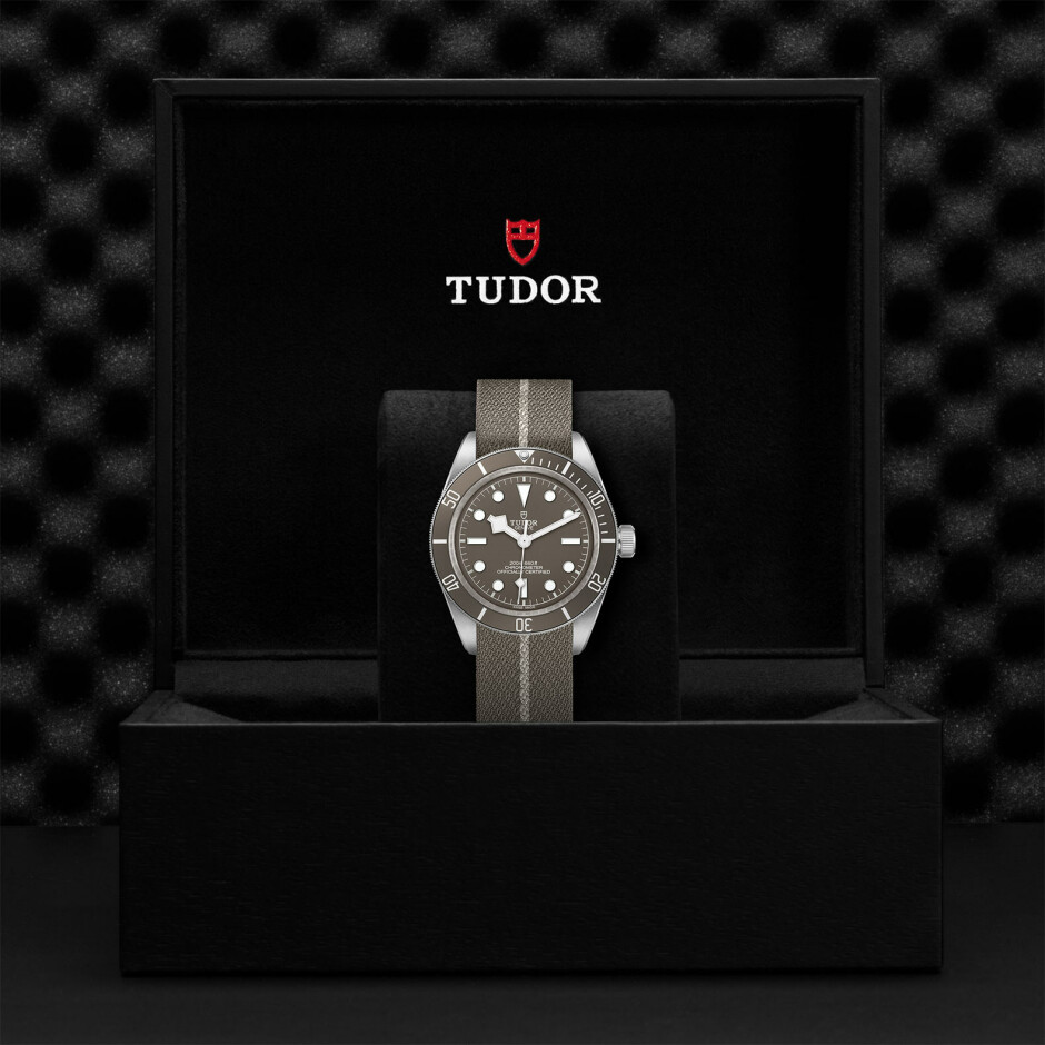 TUDOR Black Bay Fifty-Eight 925 watch, 39 mm silver case, taupe fabric strap