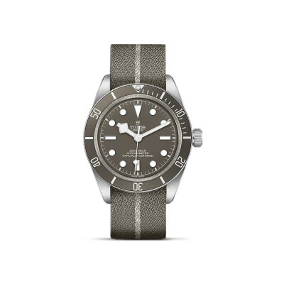 TUDOR Black Bay 58 925 watch, 39 mm silver case, taupe fabric strap