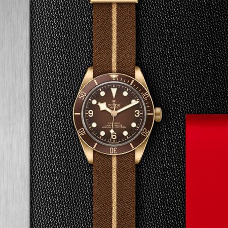 TUDOR Black Bay 58 Bronze watch, 39mm bronze case, Riveted bronze bracelet