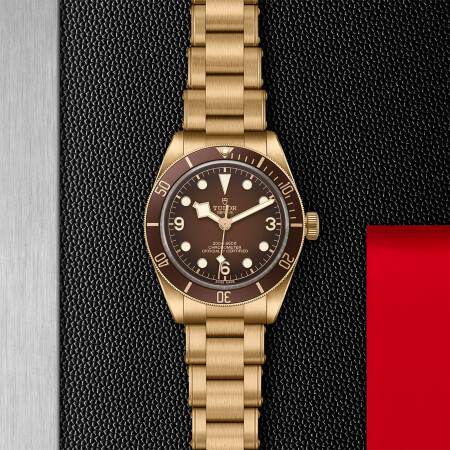 TUDOR Black Bay 58 Bronze watch, 39mm bronze case, Riveted bronze bracelet