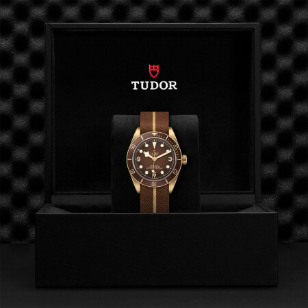 TUDOR Black Bay 58 Bronze watch, 39mm bronze case, Riveted bronze bracelet