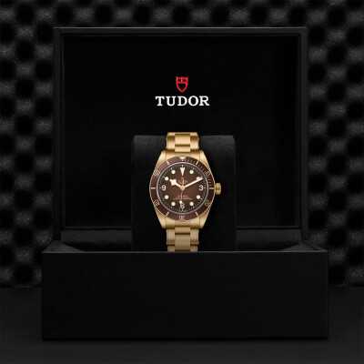 Montre TUDOR Black Bay 58 Bronze, boîtier en bronze, 39 mm, bracelet en bronze riveté